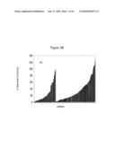 siRNA targeting cyclin-dependent kinase inhibitor 1B (p27, Kip1) (CDKN1B) diagram and image