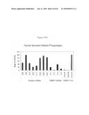 siRNA targeting cyclin-dependent kinase inhibitor 1B (p27, Kip1) (CDKN1B) diagram and image