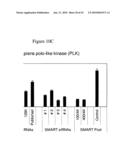 siRNA targeting cyclin-dependent kinase inhibitor 1B (p27, Kip1) (CDKN1B) diagram and image