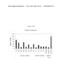 siRNA targeting cyclin-dependent kinase inhibitor 1B (p27, Kip1) (CDKN1B) diagram and image