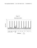 siRNA targeting cyclin-dependent kinase inhibitor 1B (p27, Kip1) (CDKN1B) diagram and image