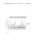 siRNA targeting cyclin-dependent kinase inhibitor 1B (p27, Kip1) (CDKN1B) diagram and image