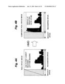 EXAMINATION SYSTEM, REHABILITATION SYSTEM, AND VISUAL INFORMATION DISPLAY SYSTEM diagram and image