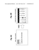 EXAMINATION SYSTEM, REHABILITATION SYSTEM, AND VISUAL INFORMATION DISPLAY SYSTEM diagram and image