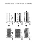 Method of Assessing Blood Volume Using Photoelectric Plethysmography diagram and image