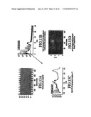 Method of Assessing Blood Volume Using Photoelectric Plethysmography diagram and image