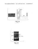 DIAGNOSING, MONITORING AND TREATING INFLAMMATION diagram and image