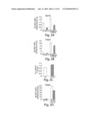 DIAGNOSING, MONITORING AND TREATING INFLAMMATION diagram and image