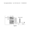 DIAGNOSING, MONITORING AND TREATING INFLAMMATION diagram and image