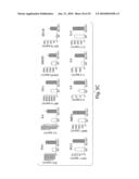 DIAGNOSING, MONITORING AND TREATING INFLAMMATION diagram and image