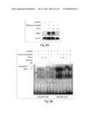 DIAGNOSING, MONITORING AND TREATING INFLAMMATION diagram and image