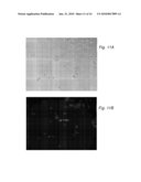 METHOD FOR THE ISOLATION OF PLURIPOTENT CELLS FROM A PRE-IMPLANTATION EMBRYO IN A CULTURE MEDIUM FREE FROM ANIMAL SERUM diagram and image