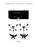 Prostate Epithelial Androgen Receptor Suppresses Prostate Growth and Tumor Invasion diagram and image