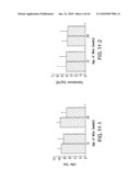 Prostate Epithelial Androgen Receptor Suppresses Prostate Growth and Tumor Invasion diagram and image