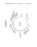 Nitrate transport components diagram and image