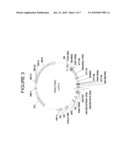 Nitrate transport components diagram and image