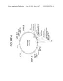 Nitrate transport components diagram and image