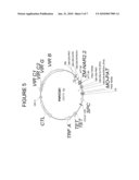 Nitrate transport components diagram and image