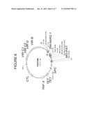 Nitrate transport components diagram and image