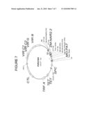 Nitrate transport components diagram and image