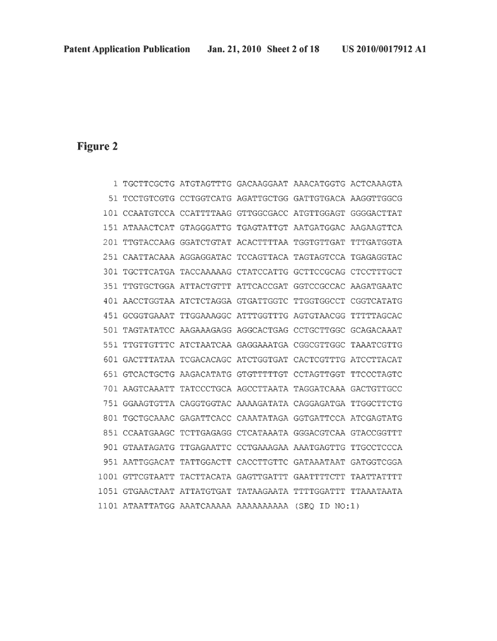 COMPOSITIONS AND METHODS USING RNA INTERFERENCE OF CAD-LIKE GENES FOR CONTROL OF NEMATODES - diagram, schematic, and image 03