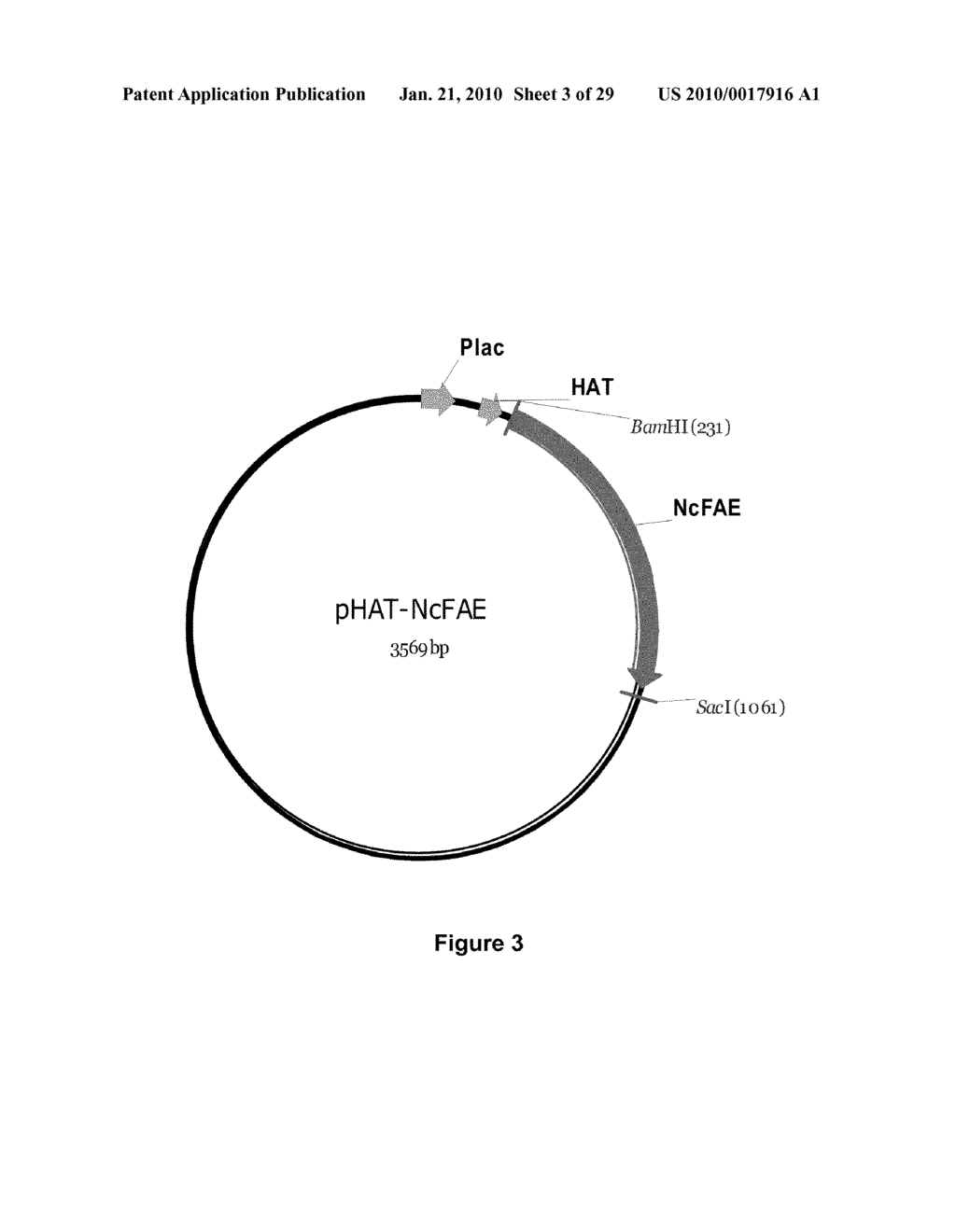 Systems for reducing biomass recalcitrance - diagram, schematic, and image 04