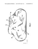 Two wheeled device cover diagram and image