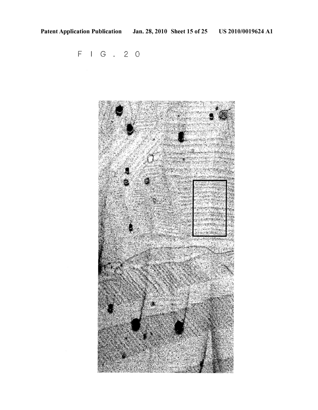 PIEZOELECTRIC/ELECTROSTRICTIVE CERAMICS SINTERED BODY AND METHOD OF CALCULATING DIFFUSE SCATTERING INTENSITY RATIO - diagram, schematic, and image 16