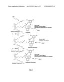 HOLOGRAPHIC STORAGE MEDIUM AND METHOD FOR GATED DIFFUSION OF PHOTOACTIVE MONOMER diagram and image