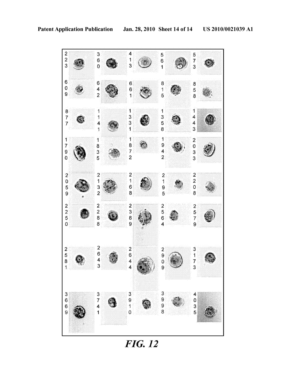 BLOOD AND CELL ANALYSIS USING AN IMAGING FLOW CYTOMETER - diagram, schematic, and image 15