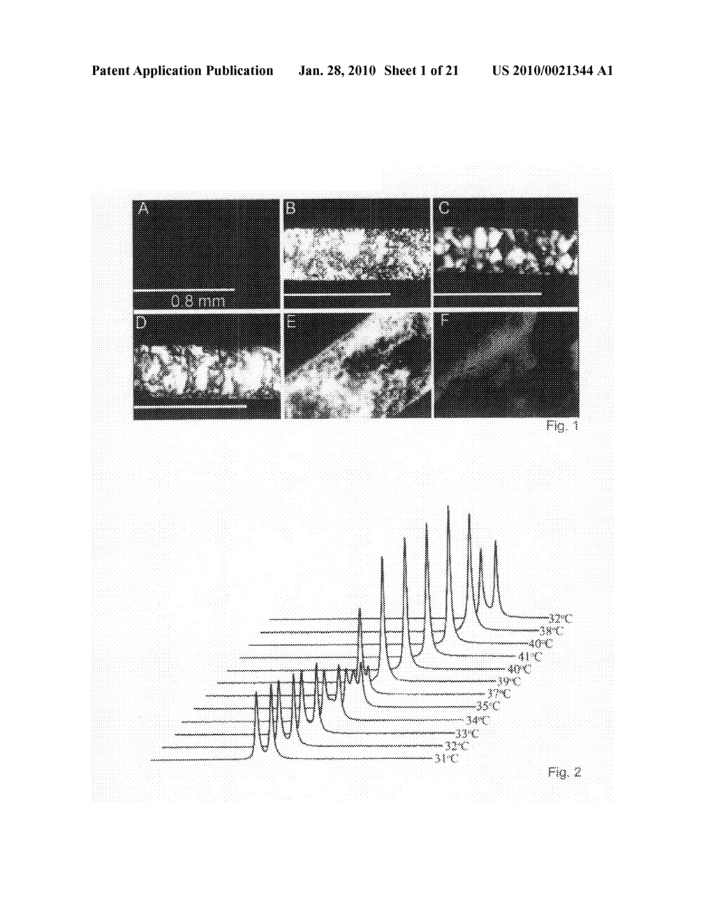 BETA-PEPTIDE LYOTROPIC LIQUID CRYSTALS AND METHODS OF MANUFACTURE AND USE THEREOF - diagram, schematic, and image 02