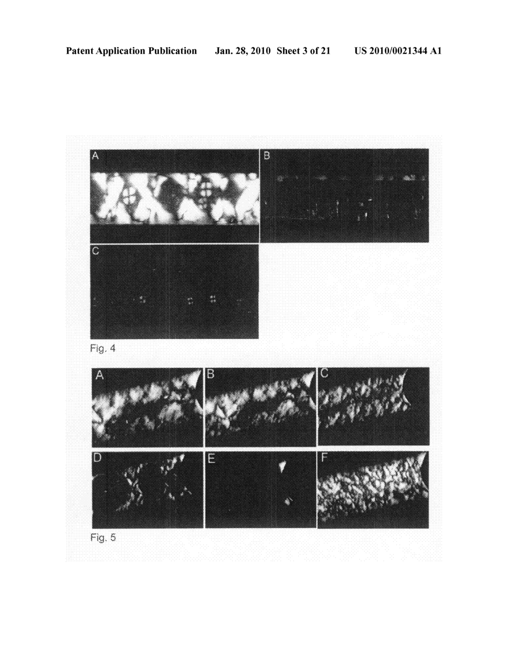 BETA-PEPTIDE LYOTROPIC LIQUID CRYSTALS AND METHODS OF MANUFACTURE AND USE THEREOF - diagram, schematic, and image 04