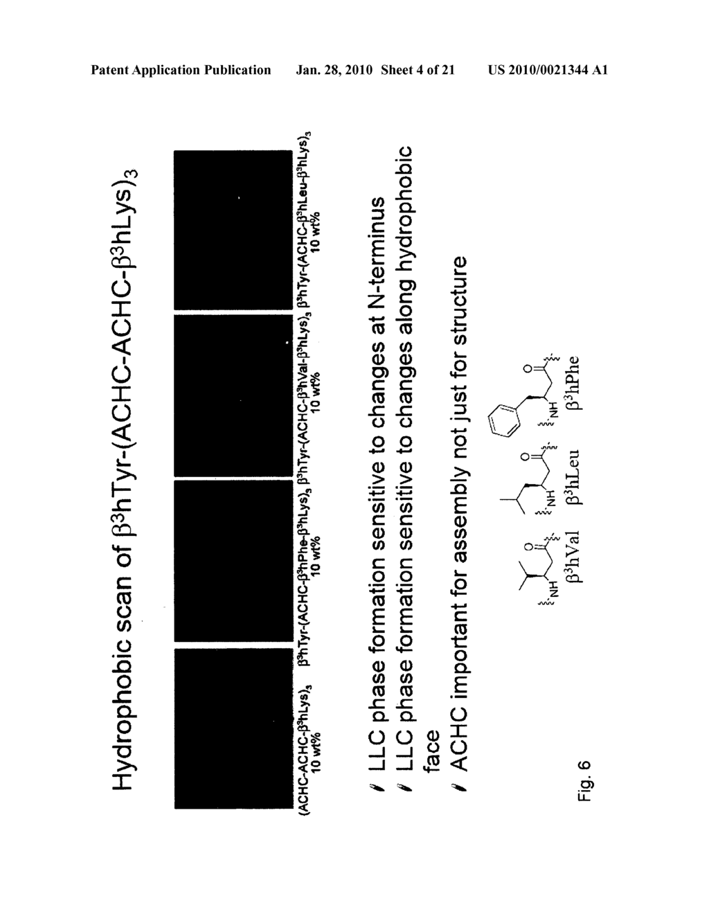 BETA-PEPTIDE LYOTROPIC LIQUID CRYSTALS AND METHODS OF MANUFACTURE AND USE THEREOF - diagram, schematic, and image 05