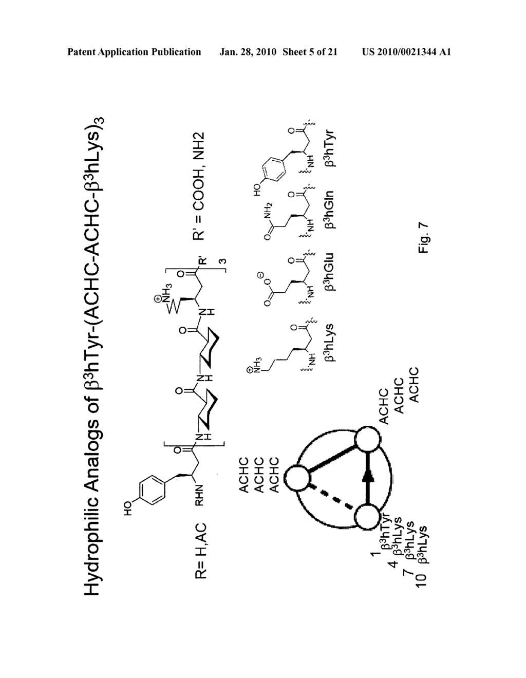 BETA-PEPTIDE LYOTROPIC LIQUID CRYSTALS AND METHODS OF MANUFACTURE AND USE THEREOF - diagram, schematic, and image 06