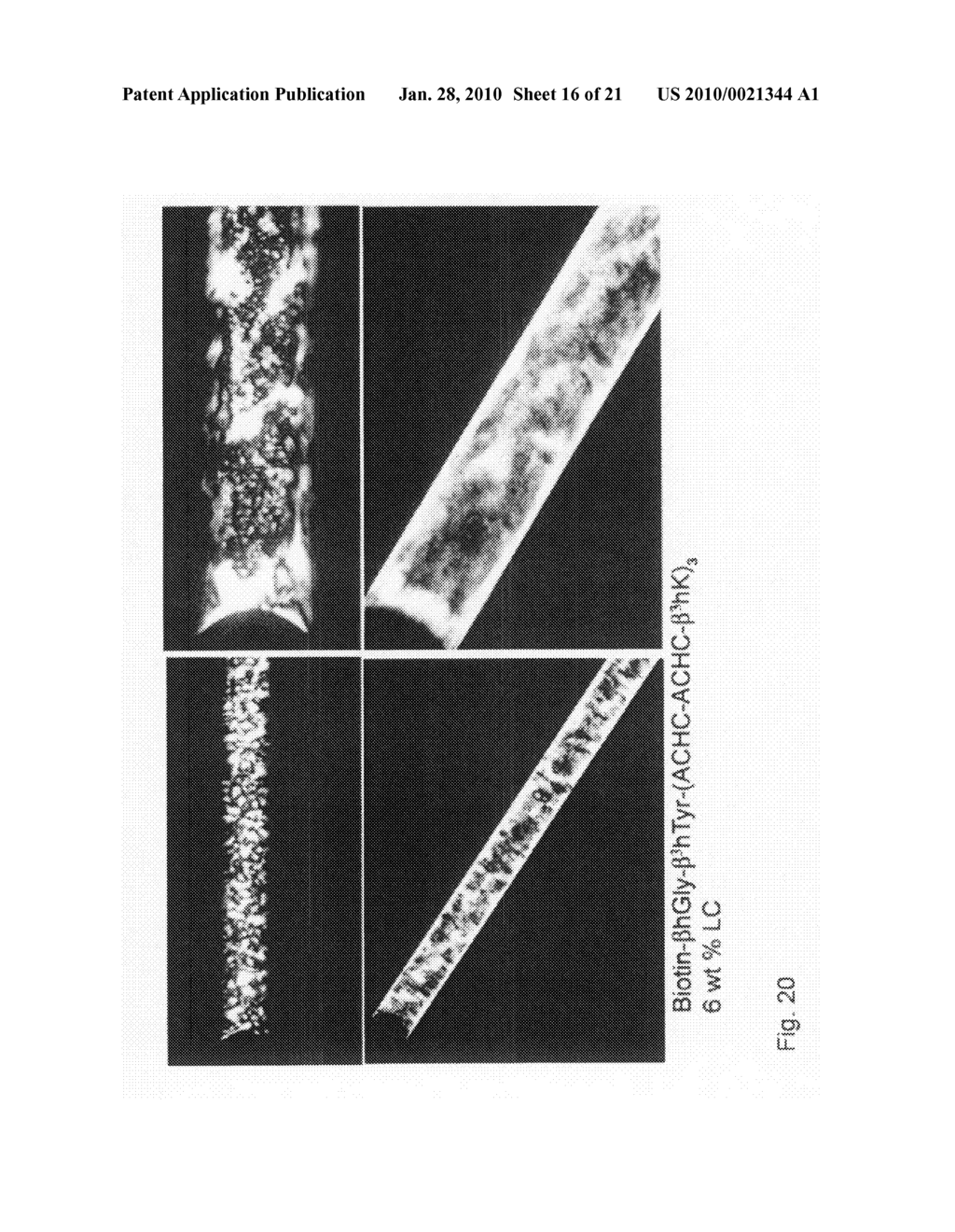 BETA-PEPTIDE LYOTROPIC LIQUID CRYSTALS AND METHODS OF MANUFACTURE AND USE THEREOF - diagram, schematic, and image 17