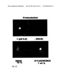 BETA-PEPTIDE LYOTROPIC LIQUID CRYSTALS AND METHODS OF MANUFACTURE AND USE THEREOF diagram and image