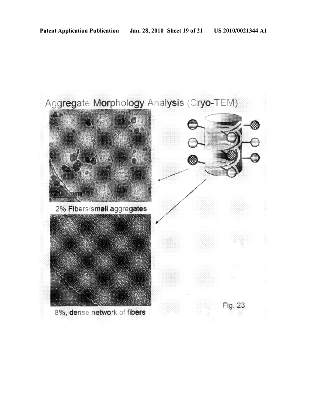 BETA-PEPTIDE LYOTROPIC LIQUID CRYSTALS AND METHODS OF MANUFACTURE AND USE THEREOF - diagram, schematic, and image 20