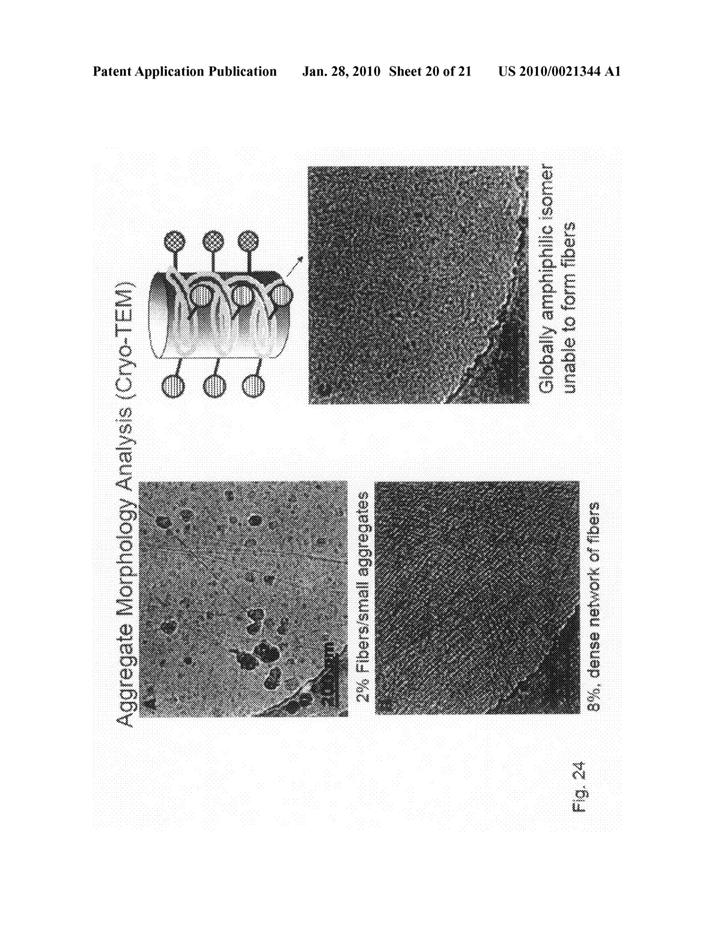BETA-PEPTIDE LYOTROPIC LIQUID CRYSTALS AND METHODS OF MANUFACTURE AND USE THEREOF - diagram, schematic, and image 21