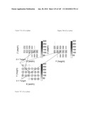 IMAGING PROTOCOLS diagram and image