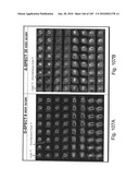 IMAGING PROTOCOLS diagram and image