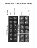 IMAGING PROTOCOLS diagram and image