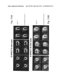 IMAGING PROTOCOLS diagram and image