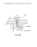 IMAGING PROTOCOLS diagram and image