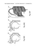 IMAGING PROTOCOLS diagram and image