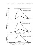 Fluorescent Analogs Of The Islet Amyloid Polypeptide diagram and image