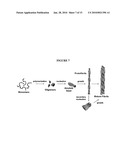 Fluorescent Analogs Of The Islet Amyloid Polypeptide diagram and image