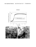 Fluorescent Analogs Of The Islet Amyloid Polypeptide diagram and image