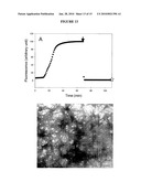 Fluorescent Analogs Of The Islet Amyloid Polypeptide diagram and image