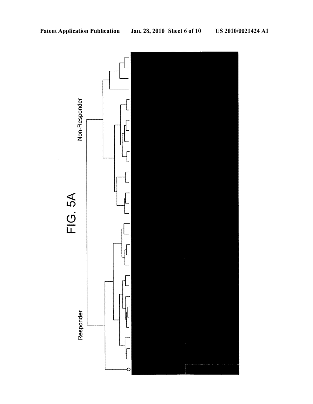 Method For Identifying Whether A Patient Will Be Responder or Not to Immunotherapy - diagram, schematic, and image 07