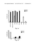 Isolated Oligodendrocyte-Like Cells and Populations Comprising Same for the Treatment of CNS Diseases diagram and image